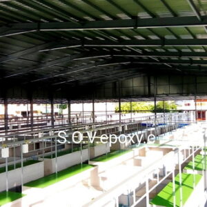 ทำพื้นตลาด_04